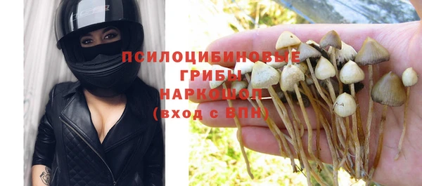 apvp Краснотурьинск