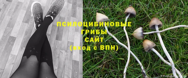 дурь Коряжма