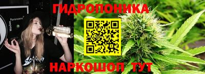 кокс Кингисепп