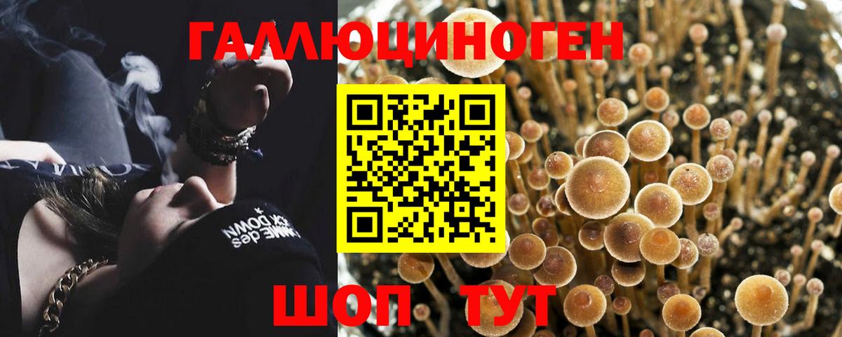 Лесной  Псилоцибиновые грибы мухоморы  купить наркотики цена  Вход с VPN 