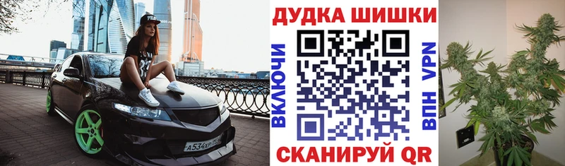 МАРИХУАНА сатива  купить закладку  Лесной 